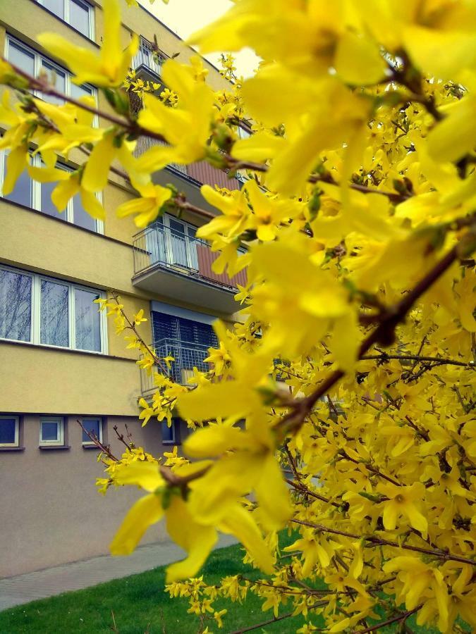 The Best Castle View-Bus Station, Parking, Center Cesky Krumlov Bagian luar foto